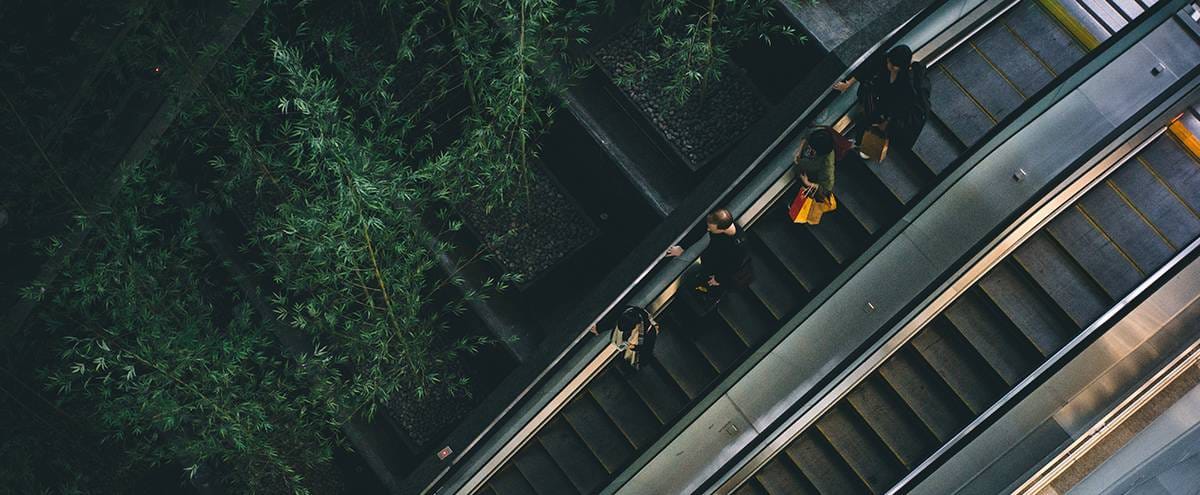 People standing on an escalator with greenery to the left.