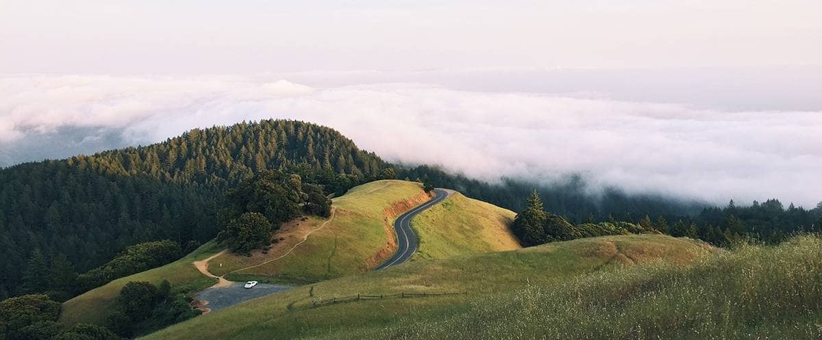 A foggy and tree covered hill with a road cutting through the middle of it.