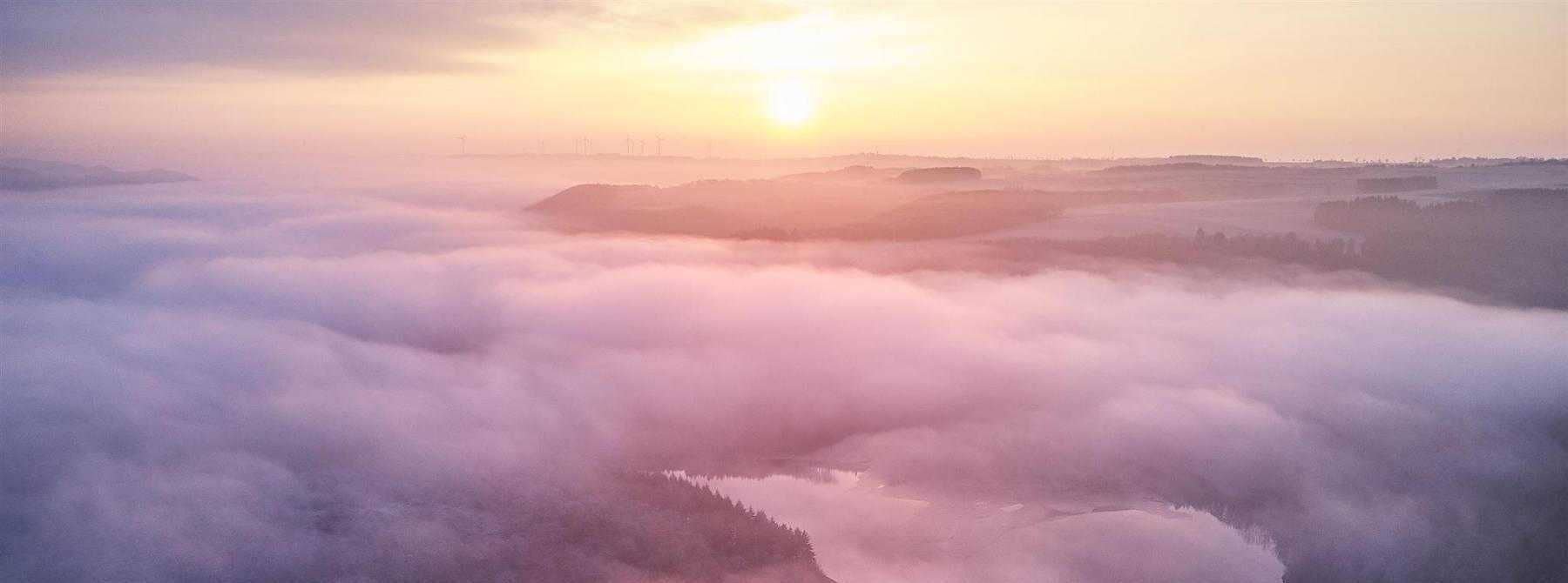 Aerial view of clouds, sun, and trees during the sunset