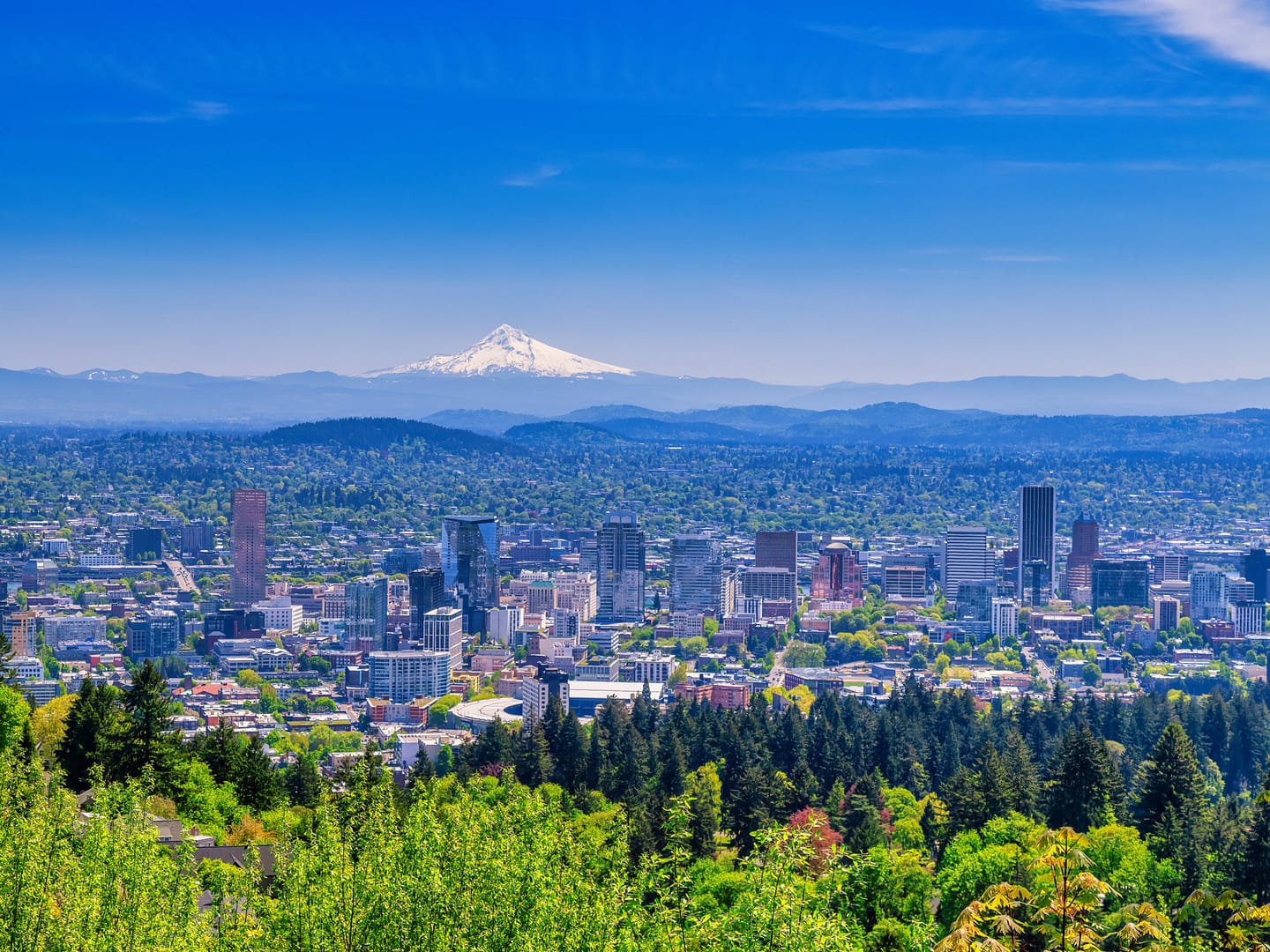 Portland skyline in the summer, where the Portland Business Journal is located. PBJ just named Aldrich in its 2024 Best Places to Work list.