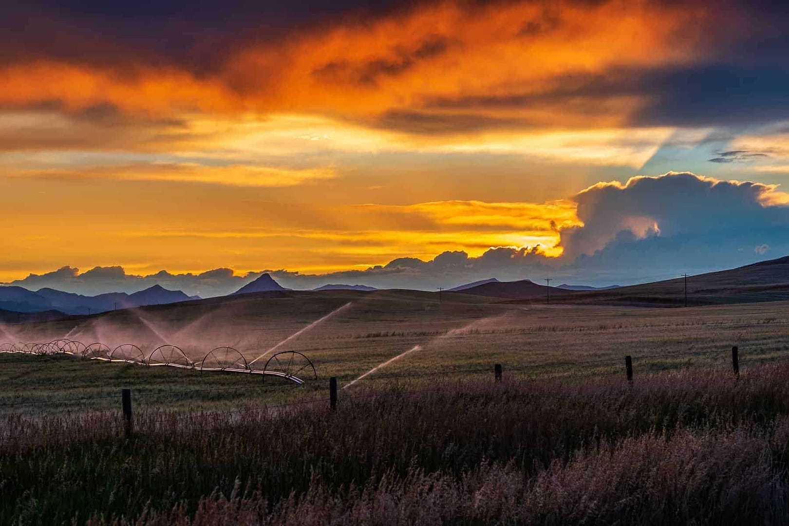 A colorful, orange sunset over agricultural land that is being watered with sprinklers; agriculture tax credits and tax breaks for farms.