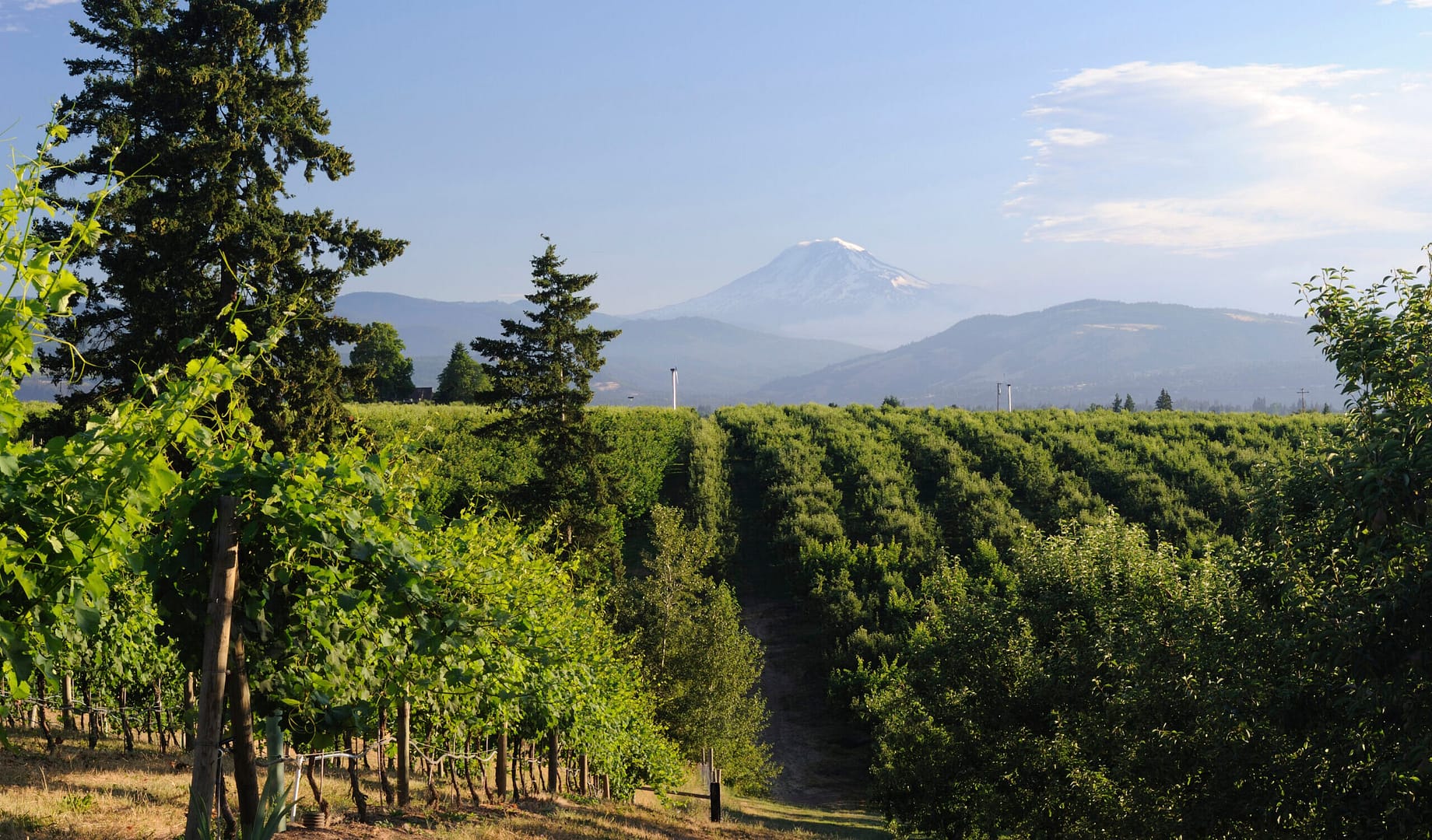 Farm in Oregon, where Aldrich's Erik Gillam recently joined the National Land Podcast to discuss financial strategies for agribusiness.
