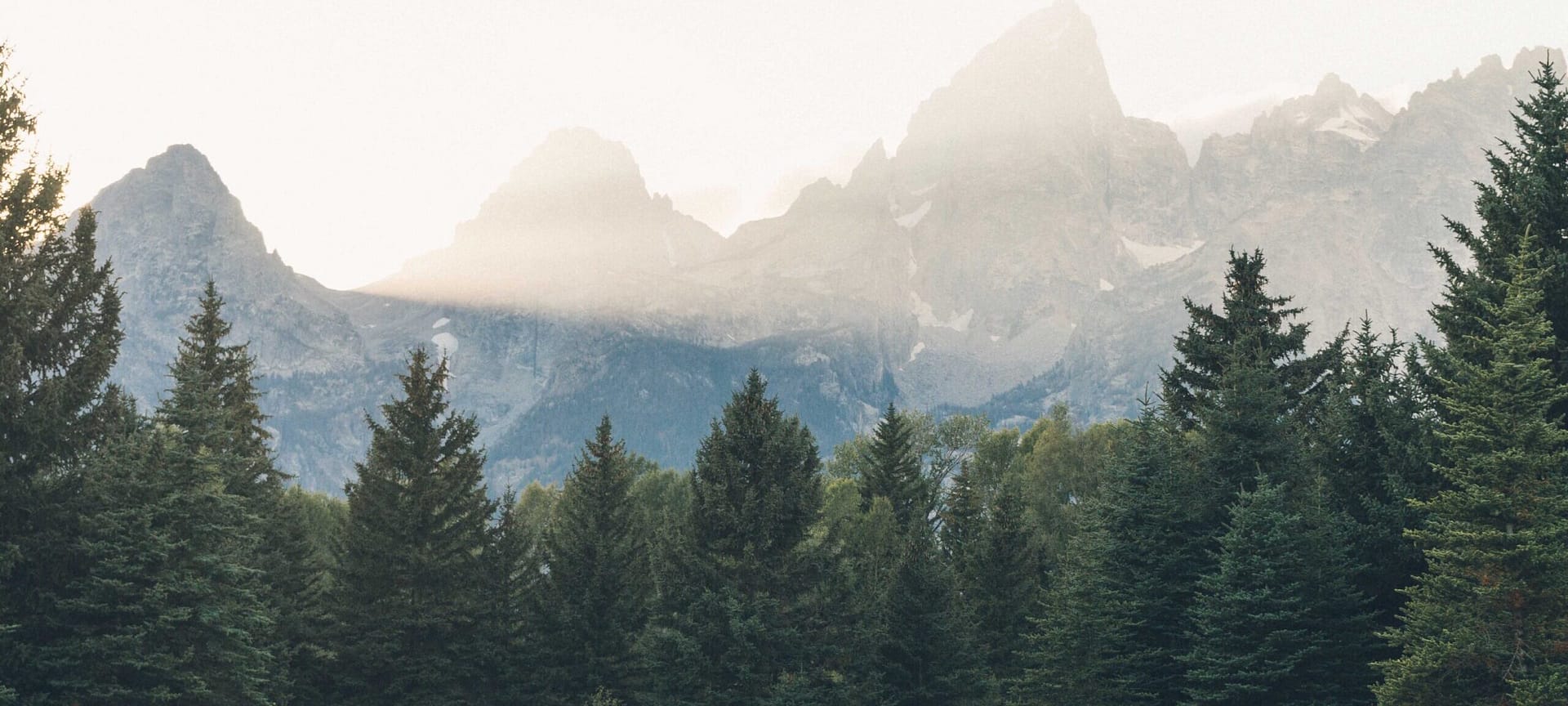 Forest and foggy sky in Oregon, where Aldrich was named one of the Best Companies to Work for by Oregon Business.