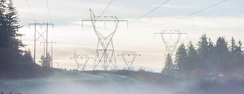 A photo of utility lines with the sunrise and evergreen trees in the background.