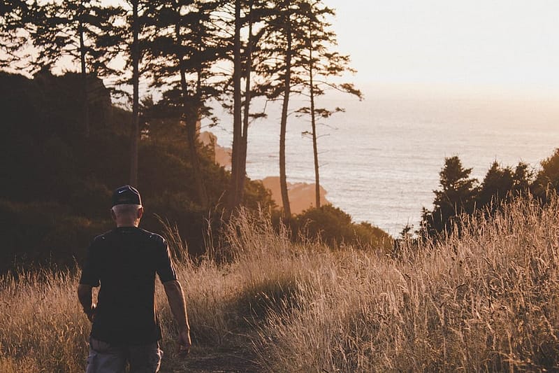 A person walking in a field with trees in the background during sunset.