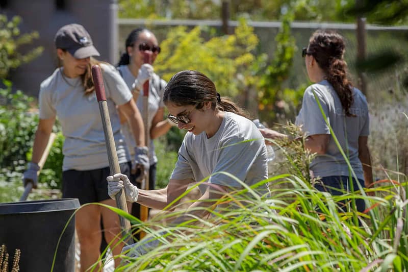 California teams volunteering for Aldrich Action Day