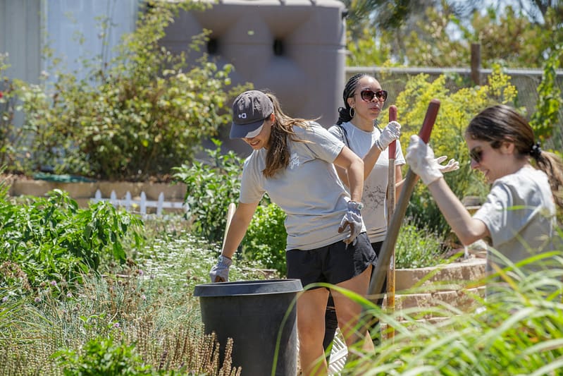 Aldrich Action Day, San Diego, Landscaping