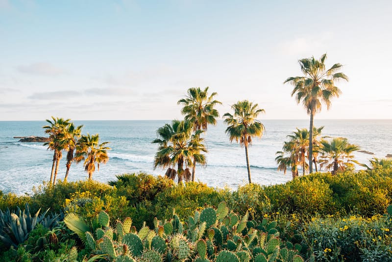 Orange County, where the LA Times ranked Aldrich in its list of Orange County’s Top Accounting and Business Advisory Firms in 2025.