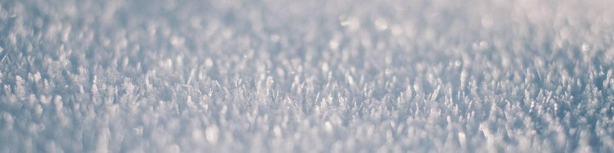 ice bucket challenge