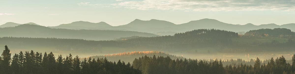 Landscape of a forest of trees and mountains on a hazy day.