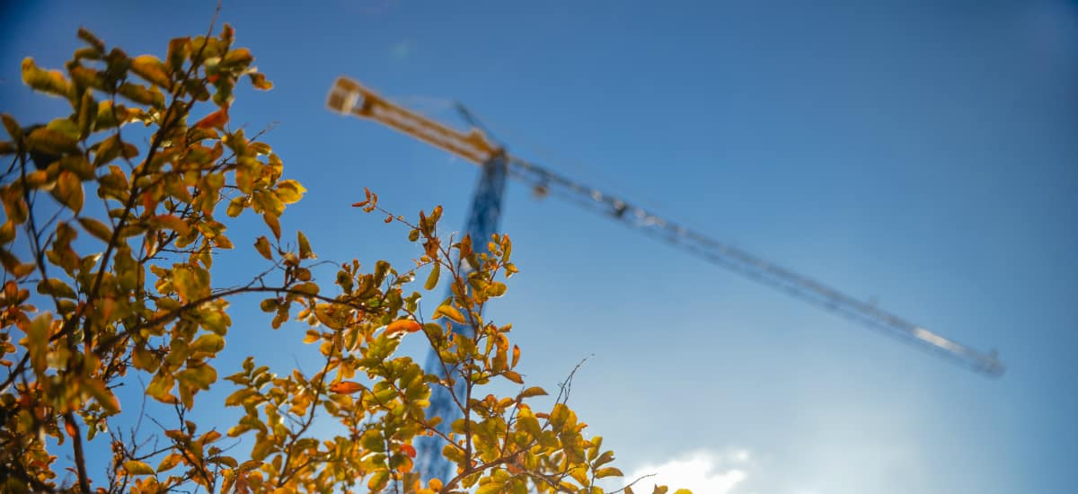 Cosntruction crane in the sky , with some fall leaves int he bottom left corner of the photo, in which Aldrich is one of the top Construction Accounting Firms of 2026.