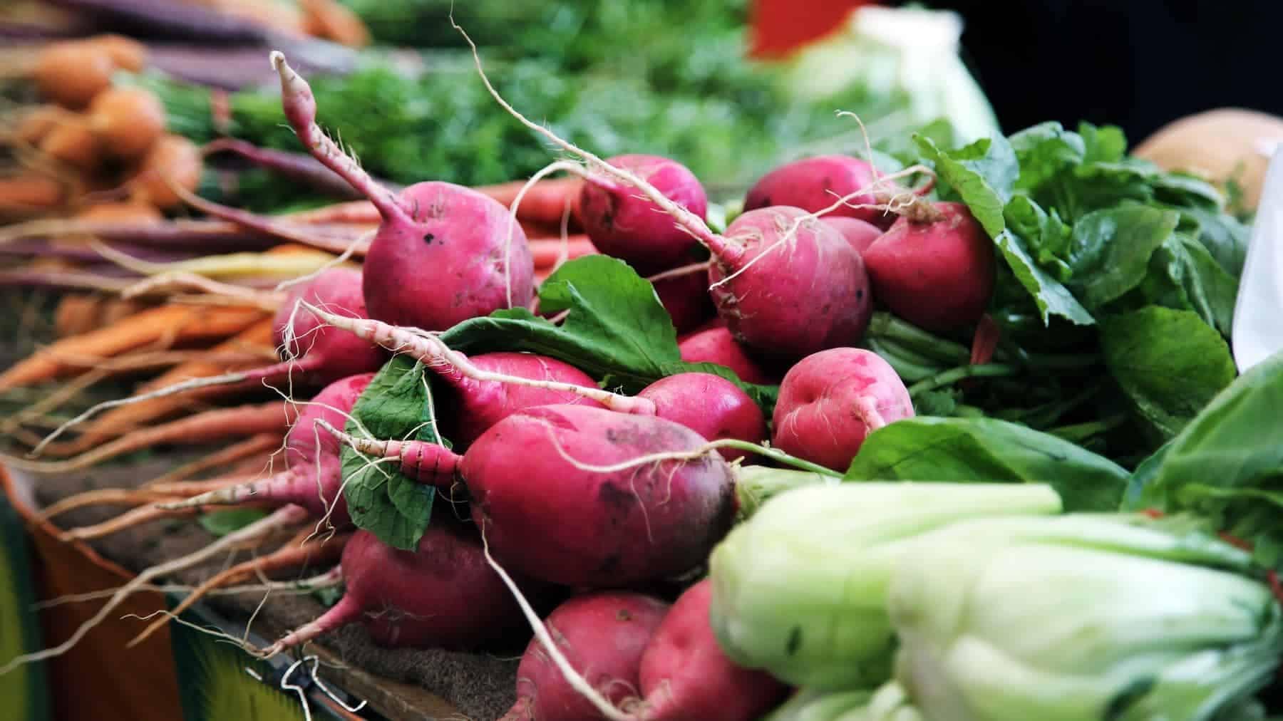 An image with various vegetables like magenta radishes, green cabbage, and orange carrots.
