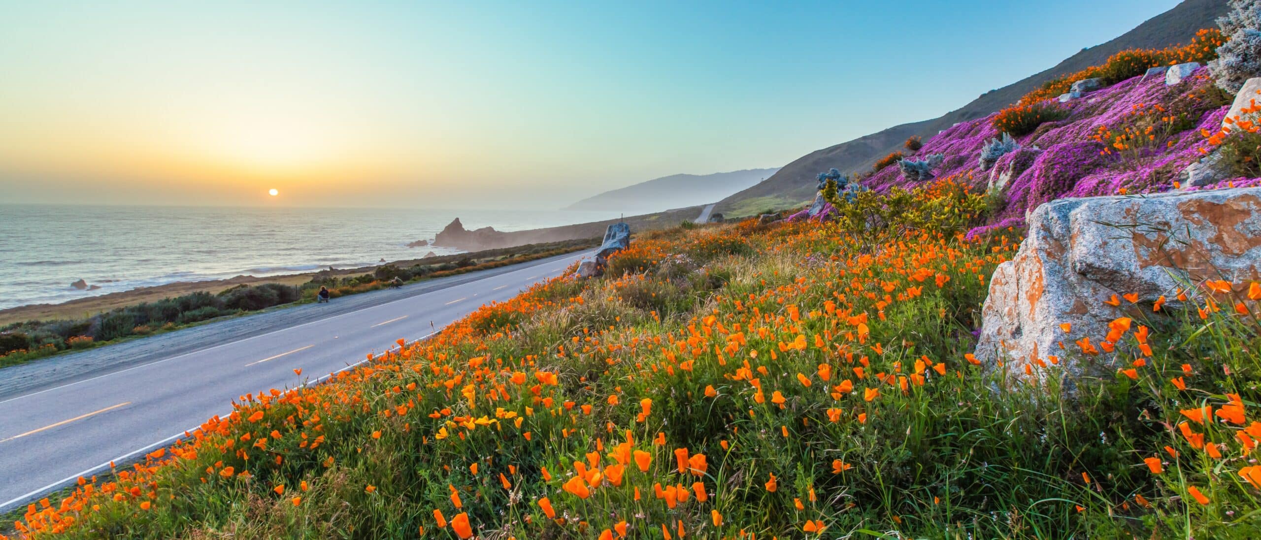 wild flowers and California coastline in Big Sur at sunset, where Aldrich CPAs + Advisors was named the 7th Largest Accounting Firm in the West Coast and a Top 100 CPA Firm by Accounting Today.