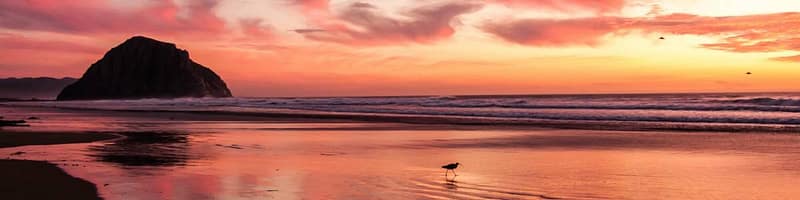 safe harbor 401(k) plan