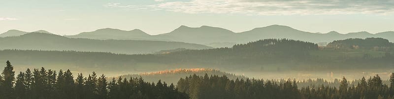 Landscape of a forest of trees and mountains on a hazy day.
