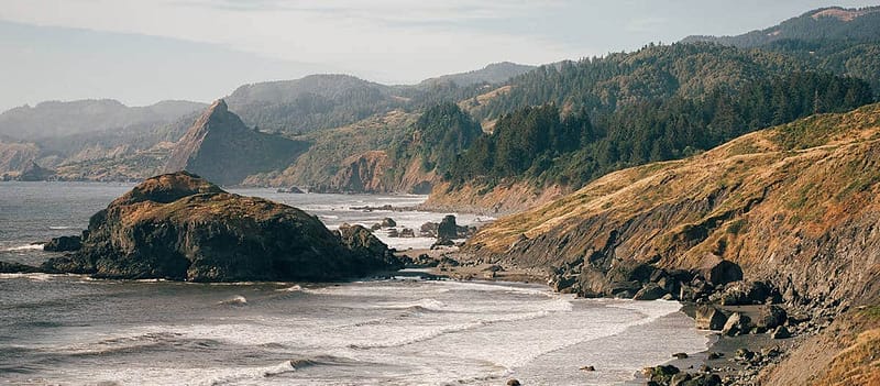 Picture of the beach with ocean, sand, rocks, cliffs, and trees on a partly cloudy day