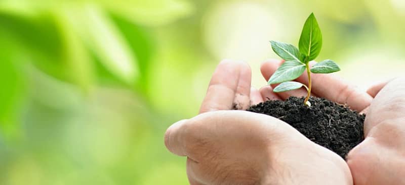 Four Critical Steps for Managing Practice Growth