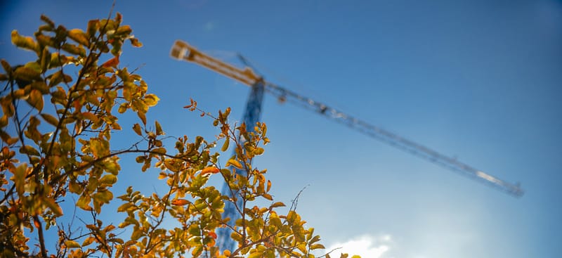 Cosntruction crane in the sky , with some fall leaves int he bottom left corner of the photo, in which Aldrich is one of the top Construction Accounting Firms of 2026.