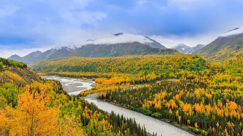 Nature scenery with yellow and green trees, blue sky, and a stream of water on a party cloudy day
