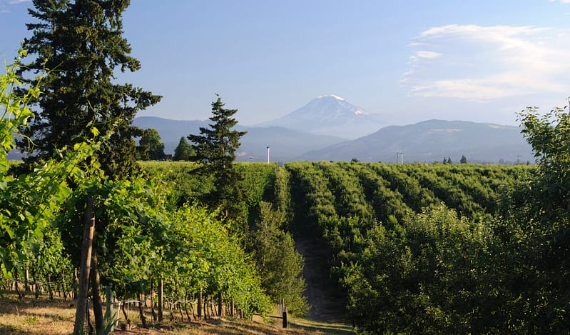 Farm in Oregon, where Aldrich's Erik Gillam recently joined the National Land Podcast to discuss financial strategies for agribusiness.