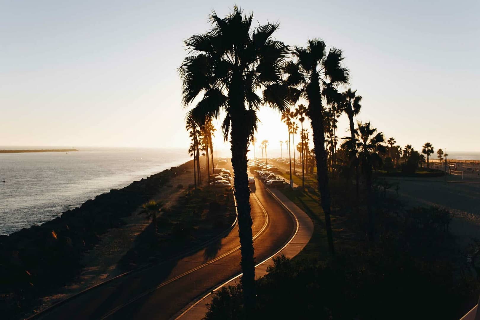 palm trees along a road with a setting sun and ocean view