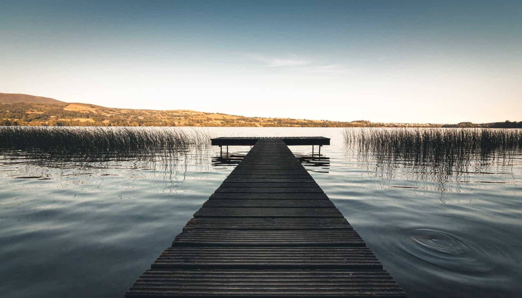 Outdoor boardwalk lake sunny blue skys surround by greenery