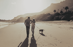 Retired couple walking on a beach with their dog enjoying the sunshine