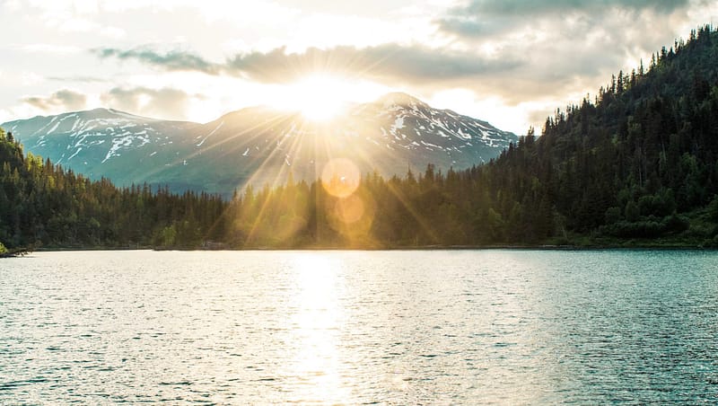 Oregon nature, where NAPA Recognized Neil Plein and Casey McKillip as Top 100 Advisors Under 40