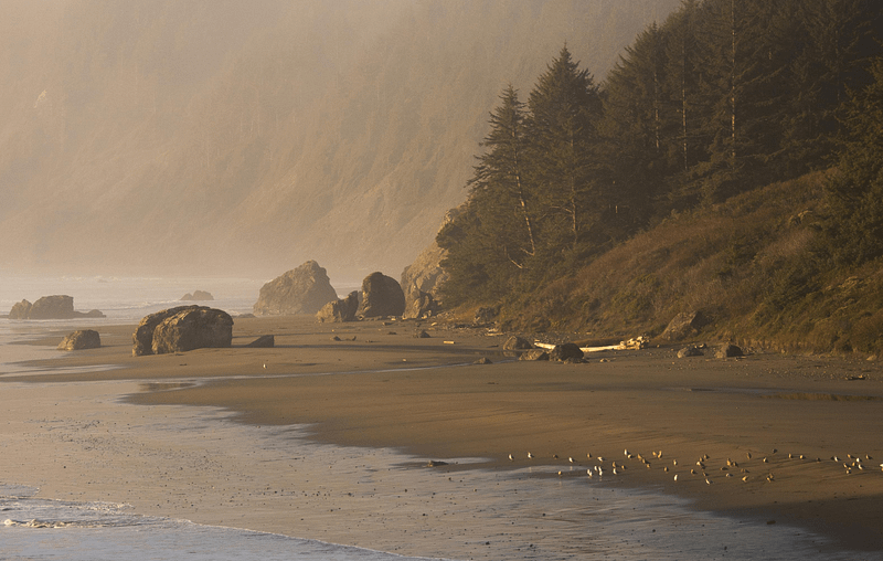 Foggy Beach day with rocks, sand, mountains covered in green trees.