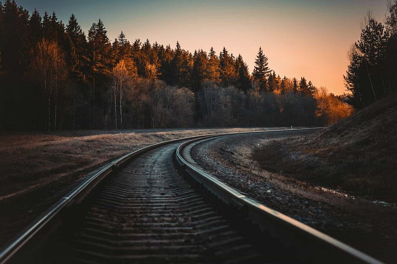 sunset over black concrete road with trees on the side of the road